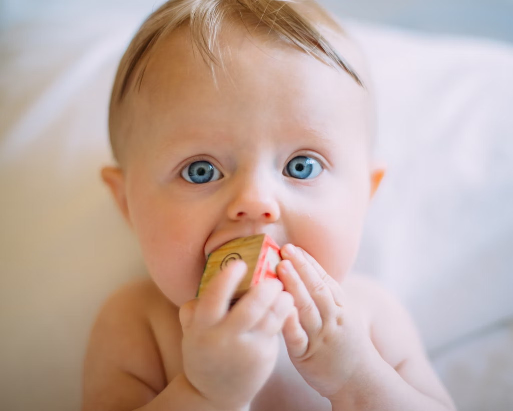 a baby holding a block toy to mouth